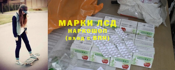индика Медногорск