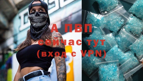 прущие грибы Магадан