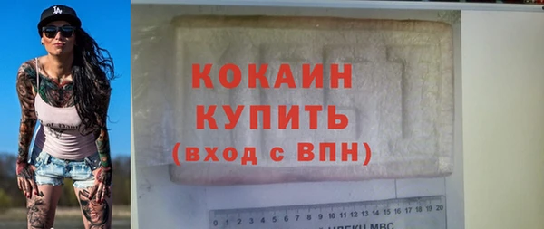 индика Медногорск