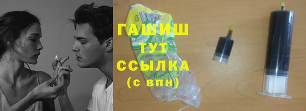 индика Медногорск