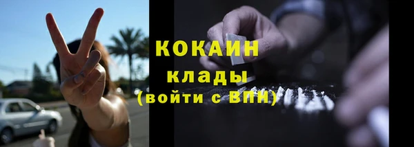 индика Медногорск