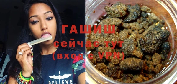 индика Медногорск