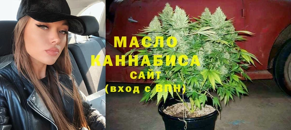индика Медногорск