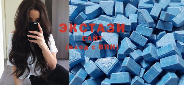 индика Медногорск