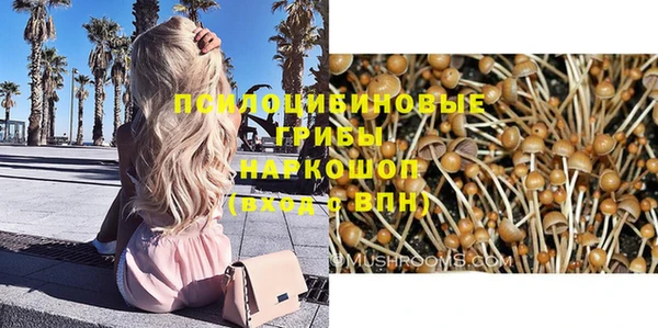 дживик Медвежьегорск