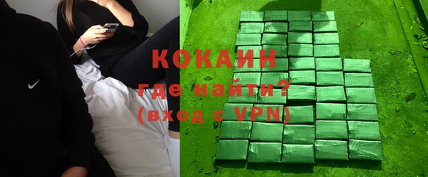 индика Медногорск