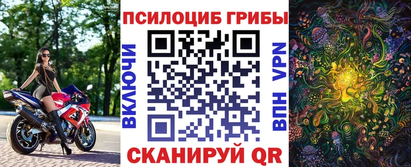 наркошоп Каспийск Псилоцибиновые грибы Cubensis