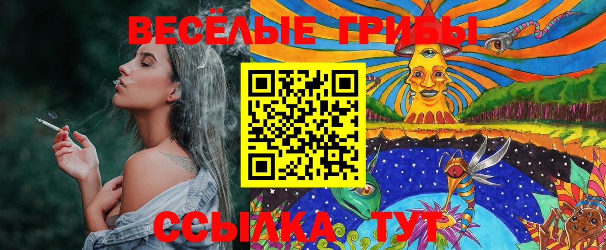 Галлюциногенные грибы Magic Shrooms  Псилоцибиновые грибы мицелий  Каспийск  Вход с VPN 