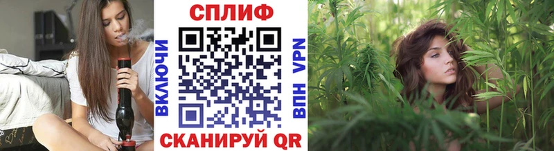 Шишки марихуана план Каспийск